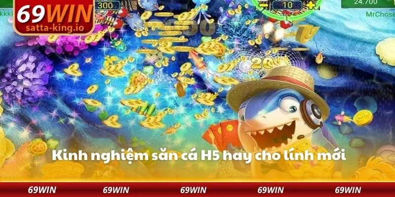 Kinh nghiệm săn cá H5 hay cho lính mới